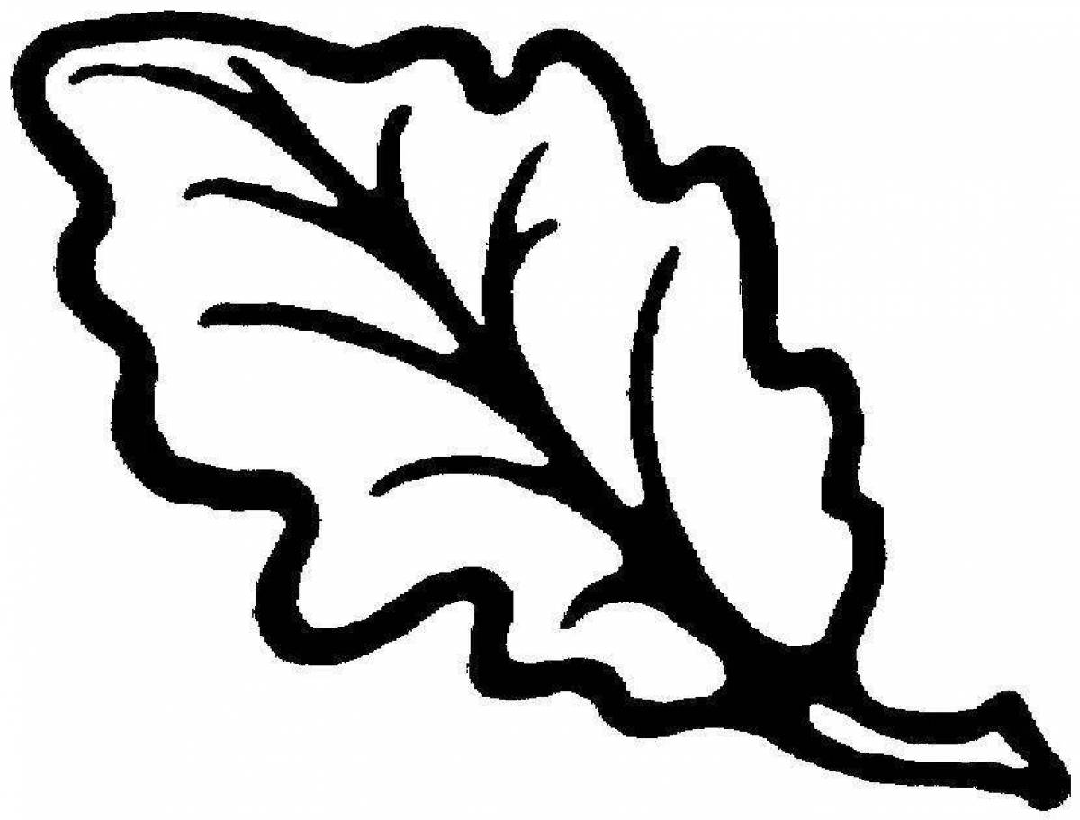 Фото Раскраска сияющий дубовый лист