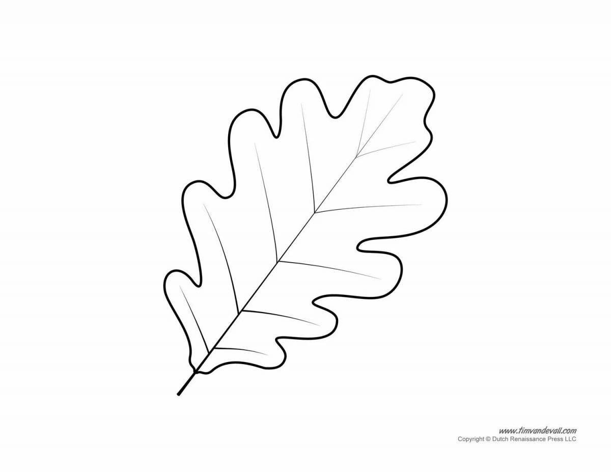 Фото Изысканная страница раскраски дубового листа