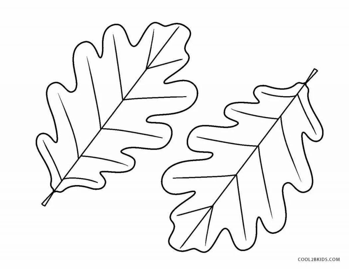Фото Очаровательная страница раскраски дубового листа