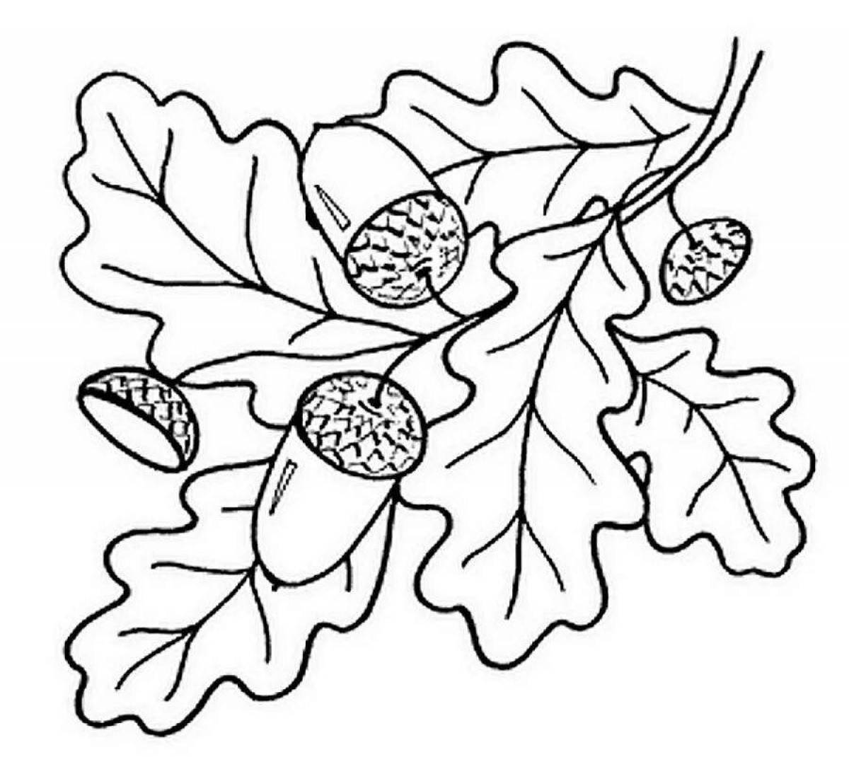 Фото Очаровательная раскраска дубовый лист