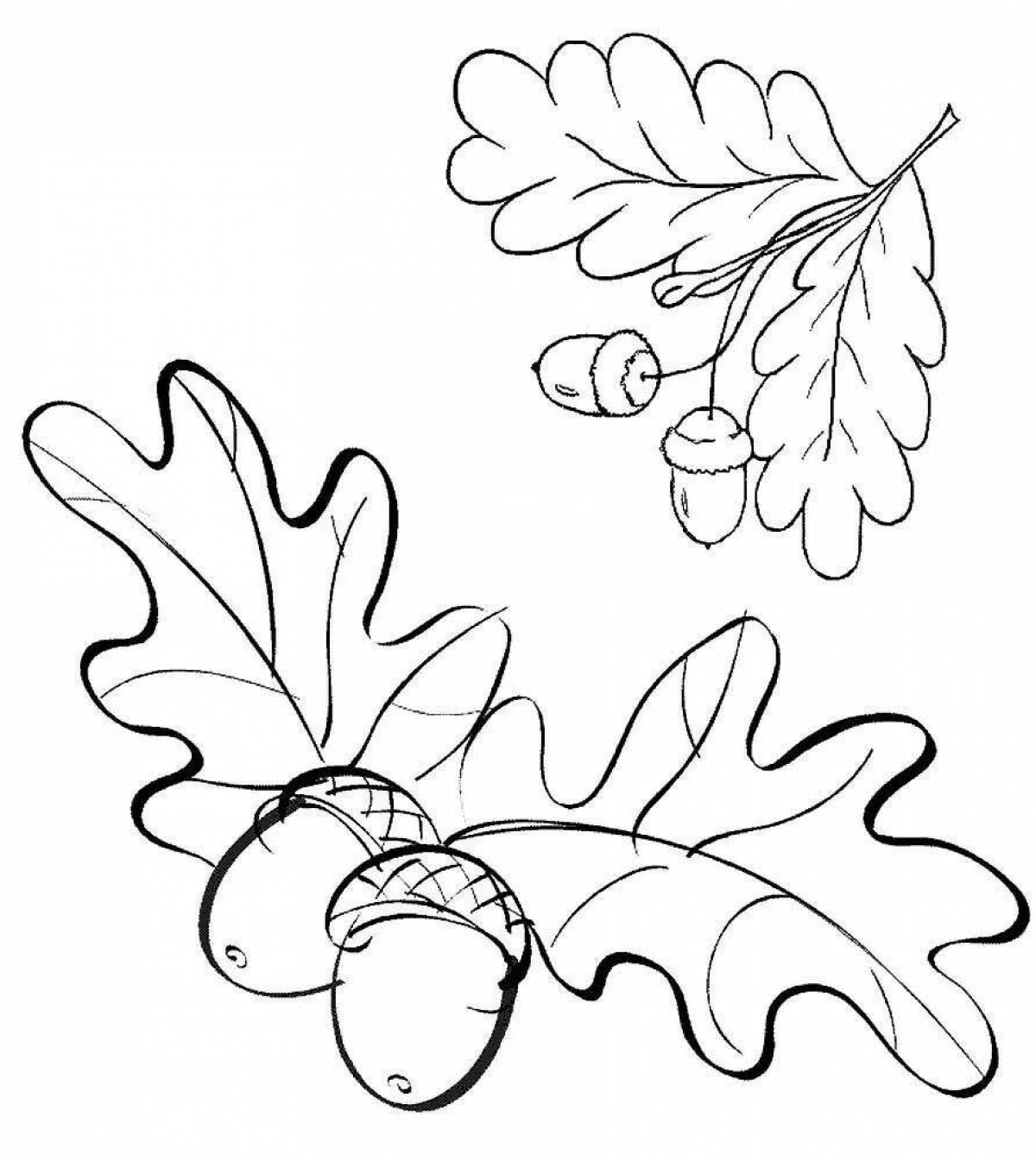 Фото Подробная страница раскраски дубового листа