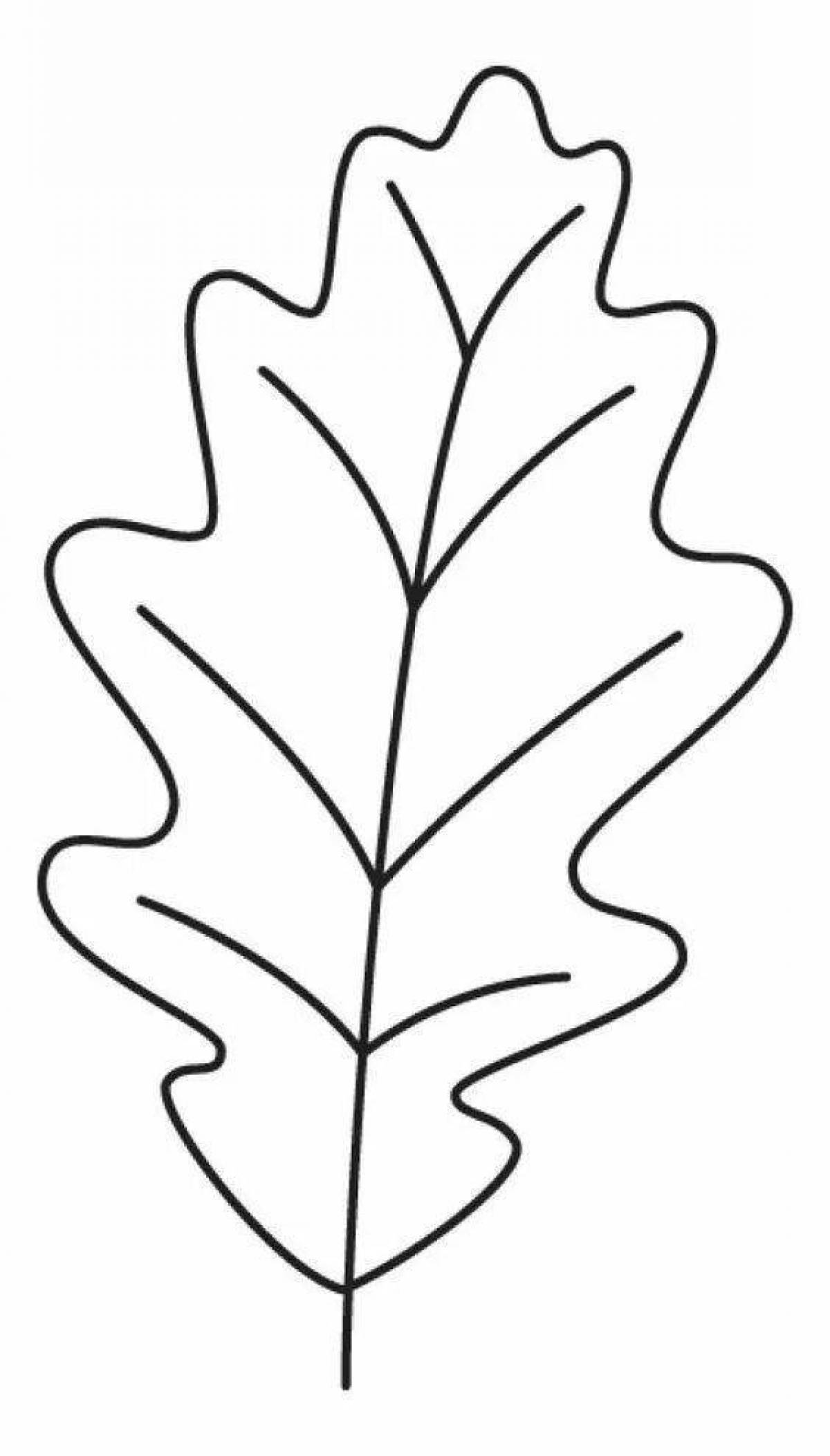 Фото Сложная страница раскраски дубового листа
