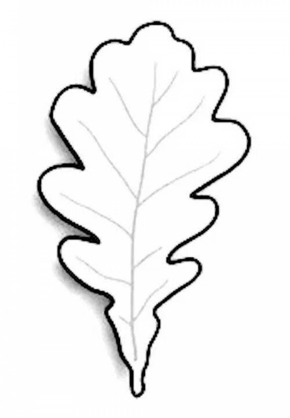 Фото Замысловатый дизайн страницы раскраски дубового листа