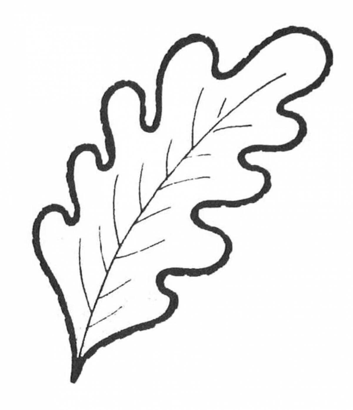 Фото Уникальная страница раскраски дубового листа