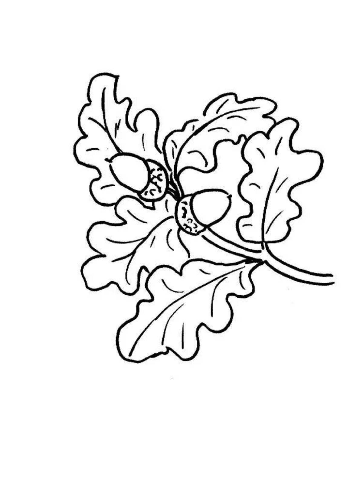 Фото Игривая страница раскраски дубового листа