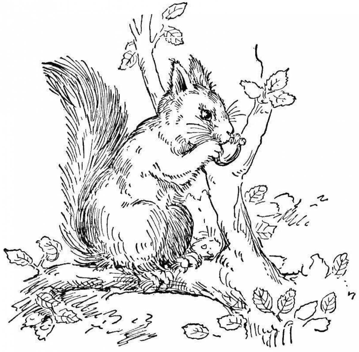 Animated coloring of a squirrel on a tree