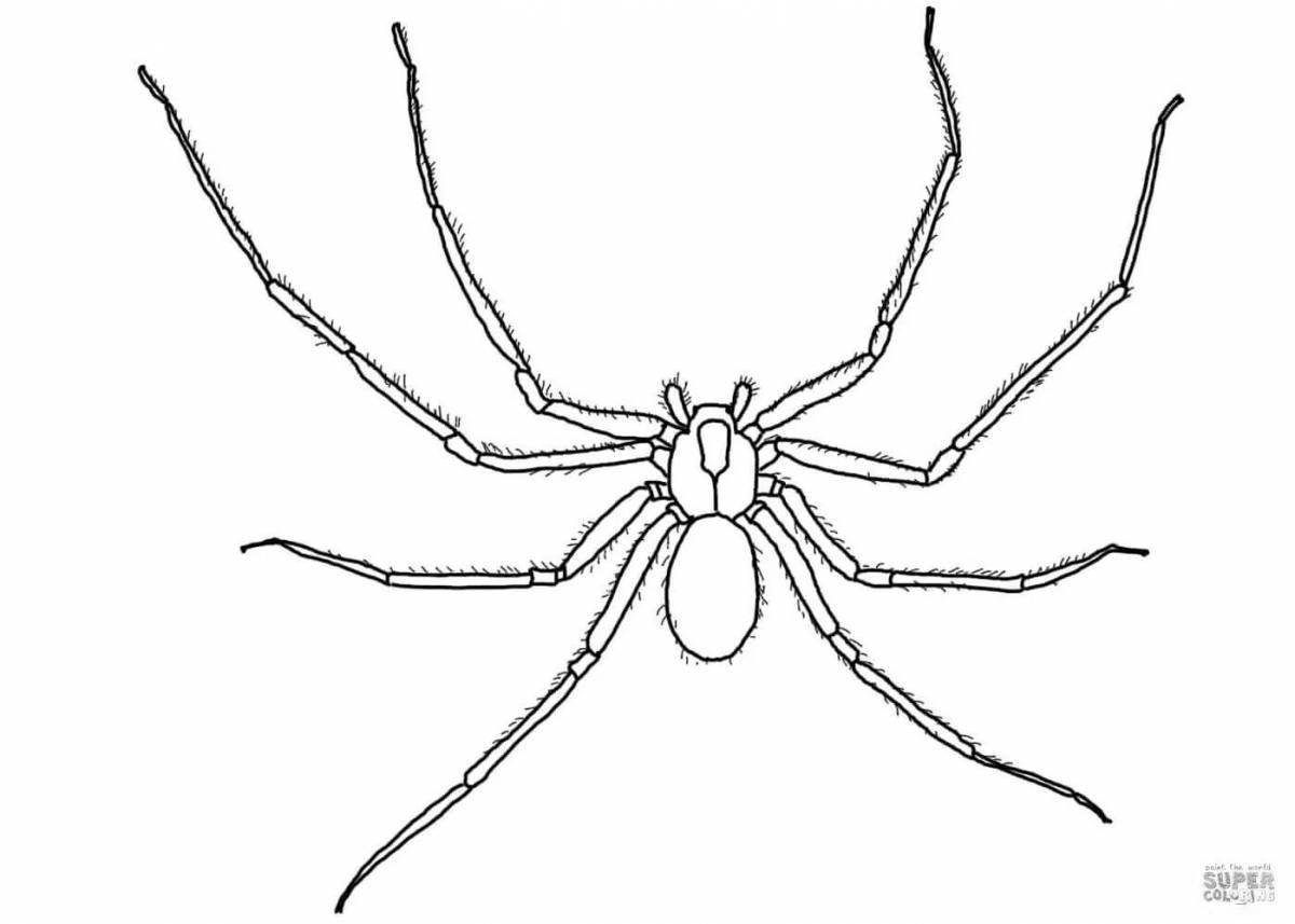 Фото Раскраска великолепный паук томас экз