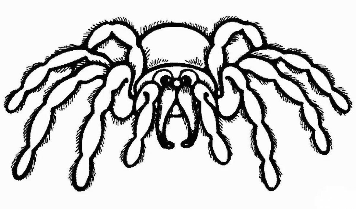 Фото Симпатичная страница раскраски паука томаса экса