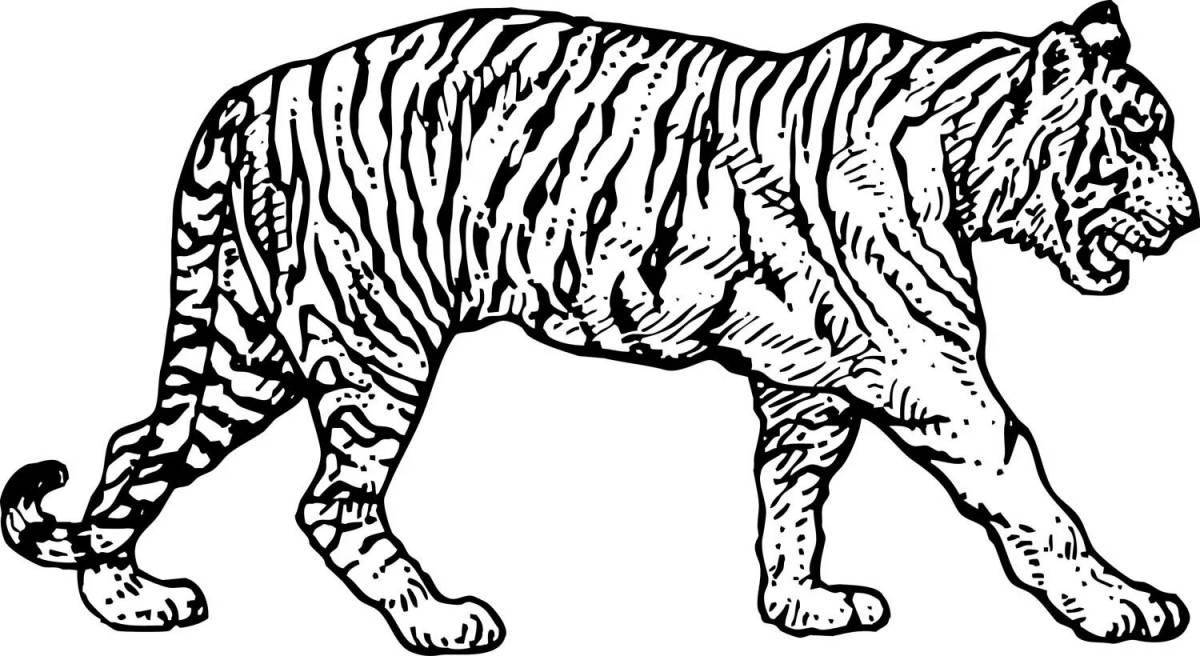 Фото Раскраска большой тигр и лев