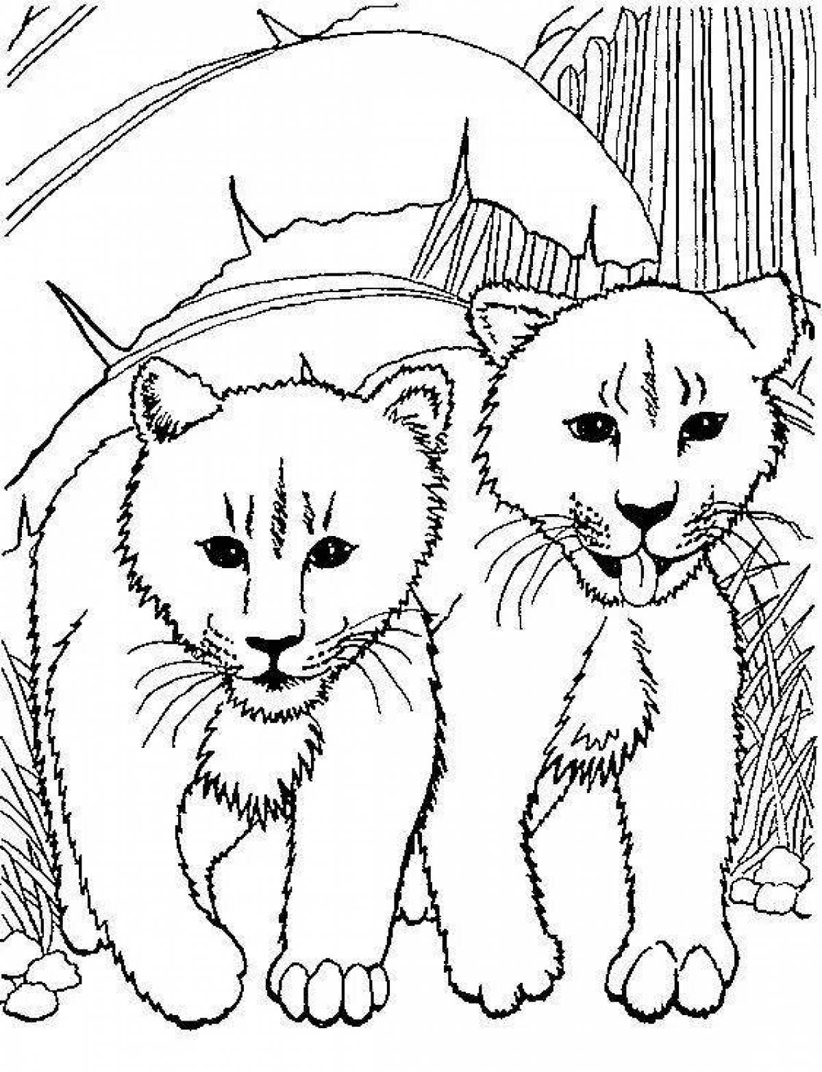 Фото Интригующая страница раскраски тигра и льва