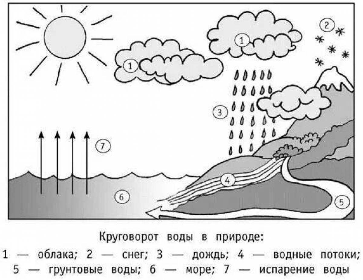 Нарисуйте схему круговорота воды в природе какое значение