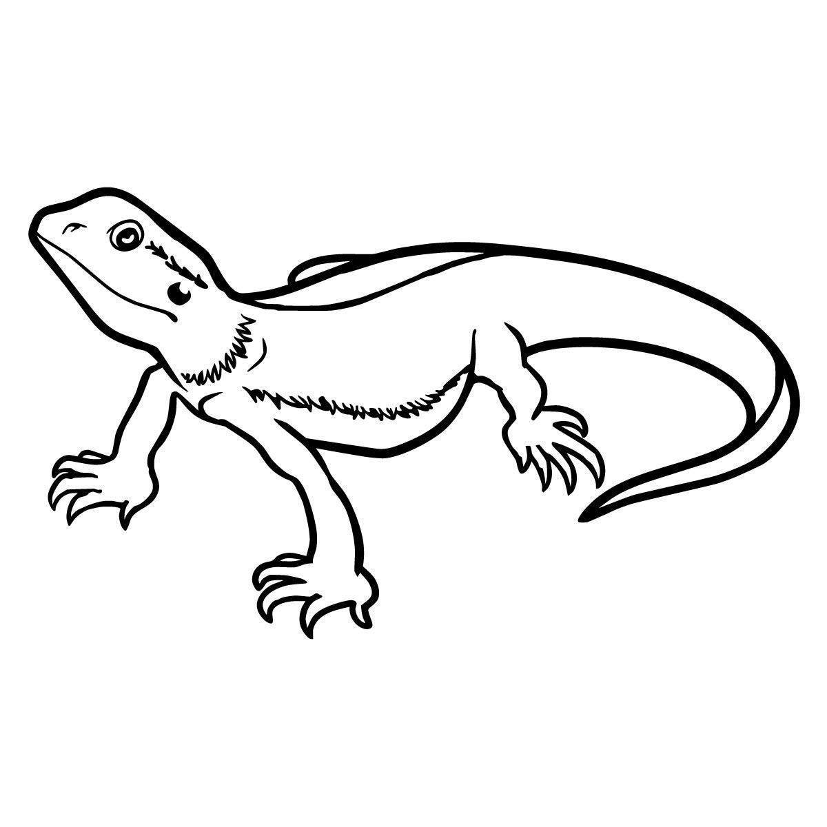 Эублефар рисунок карандашом