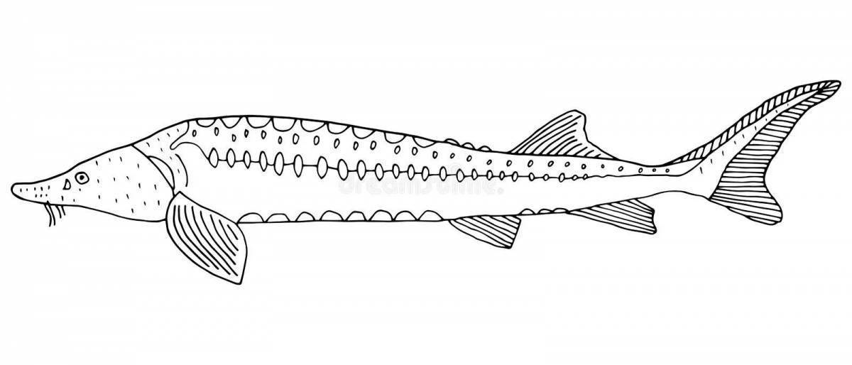 Как нарисовать осетра