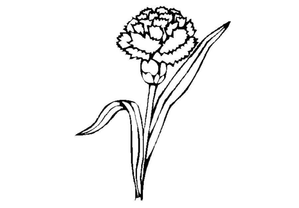 Artistic coloring of a carnation with a St. George ribbon