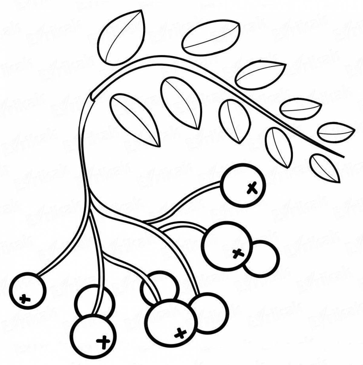 Bright rowan twig coloring for children