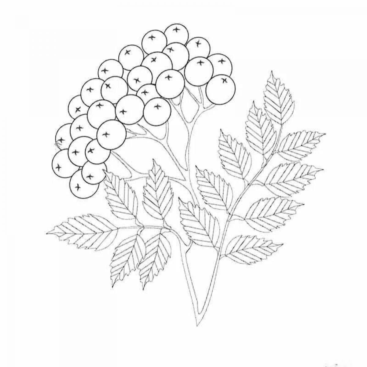 Adorable rowan twig coloring book for kids