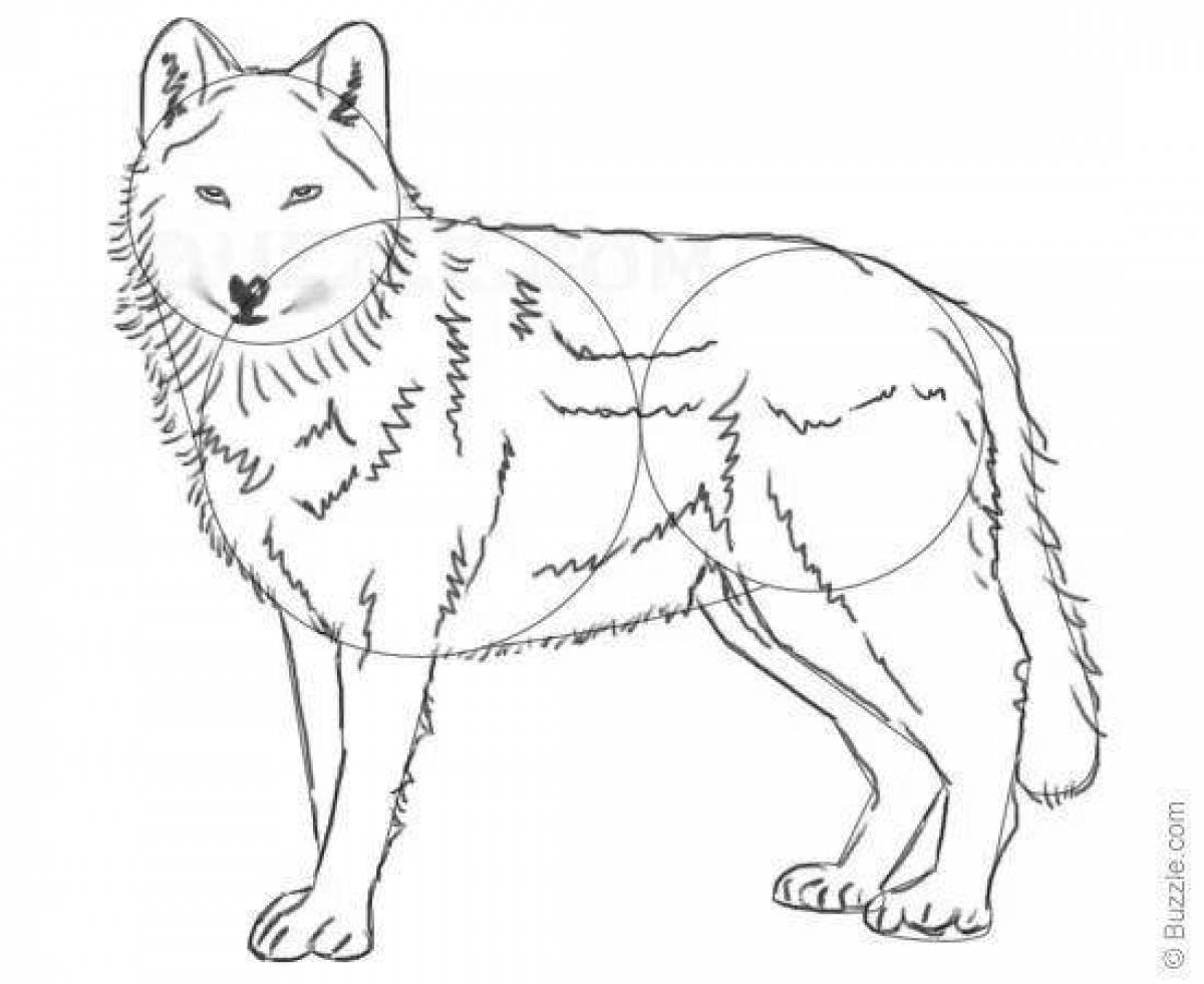 Фото Отличительная страница раскраски red wolf