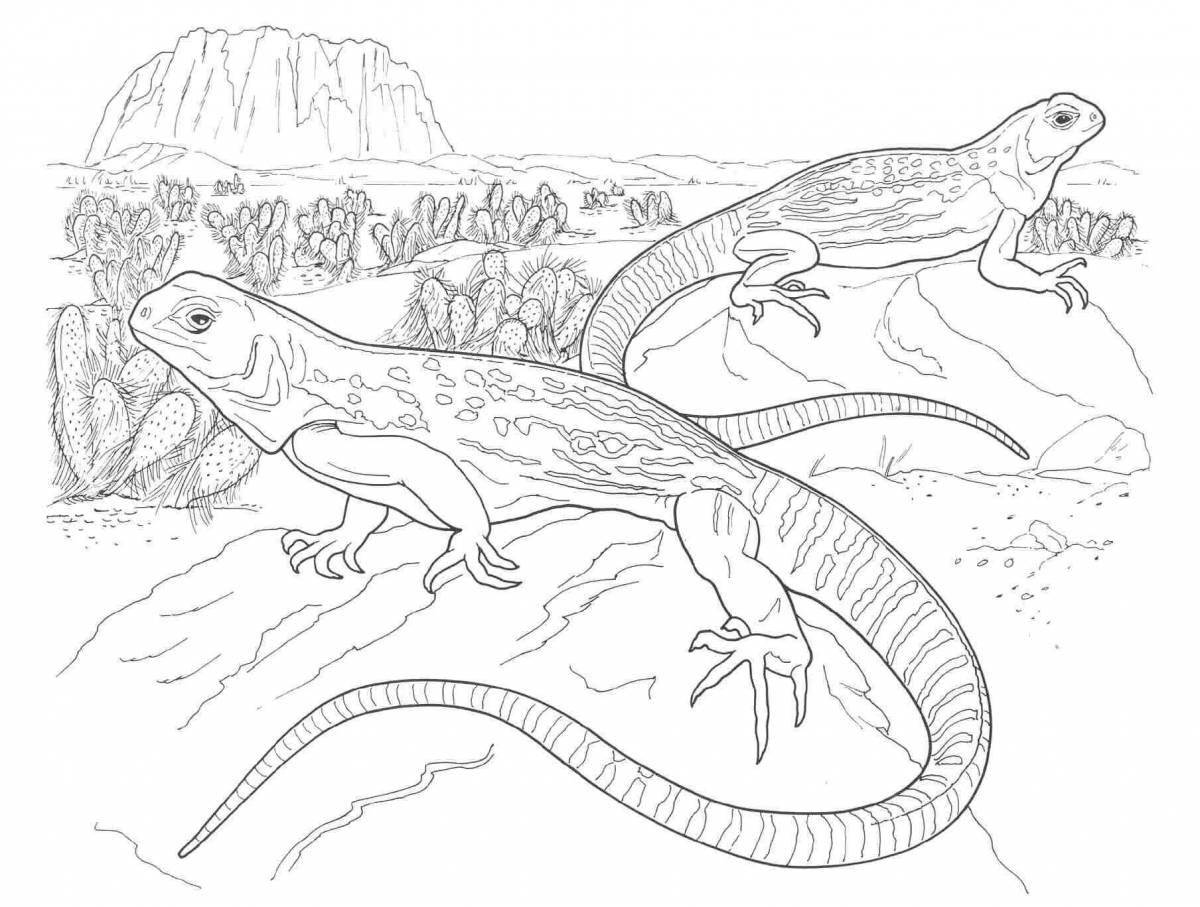 Colorful lizard coloring page