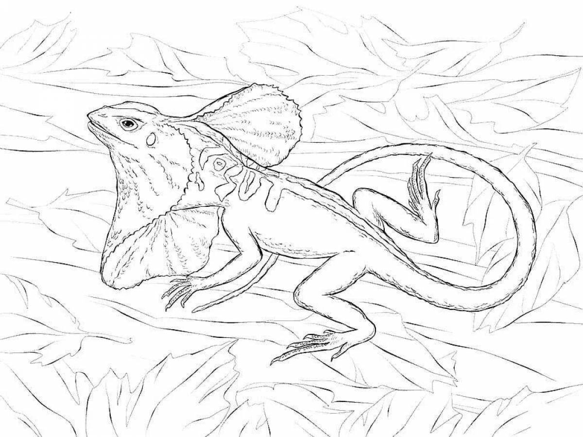 A striking lizard coloring page