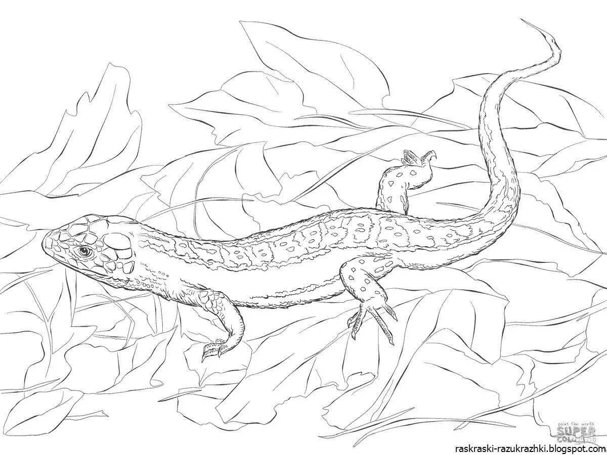 Adorable lizard coloring page