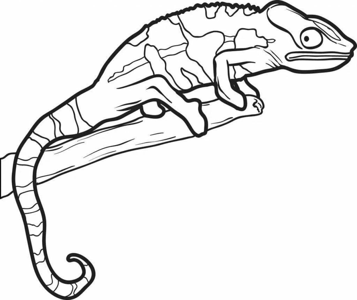 Coloring page dazzling lizard