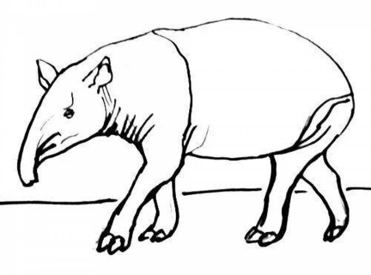 Fancy tapir coloring