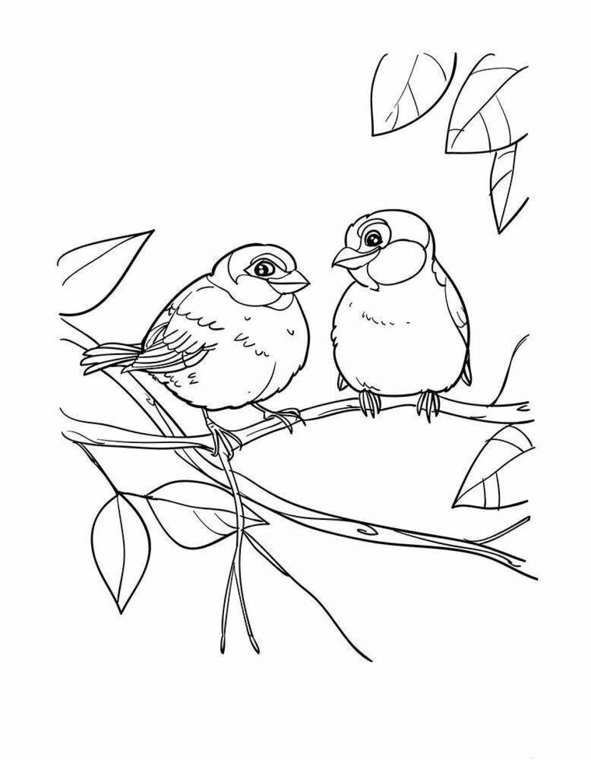 Sparkling sparrows coloring book