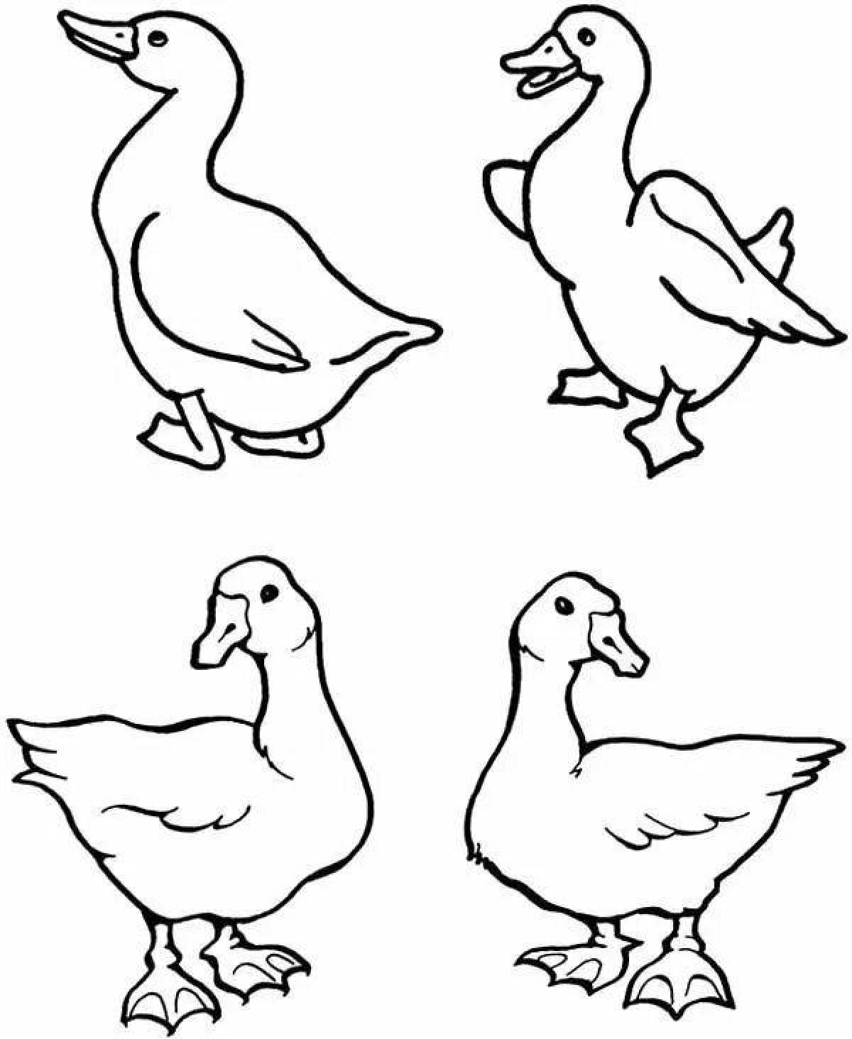 Funny gosling coloring book