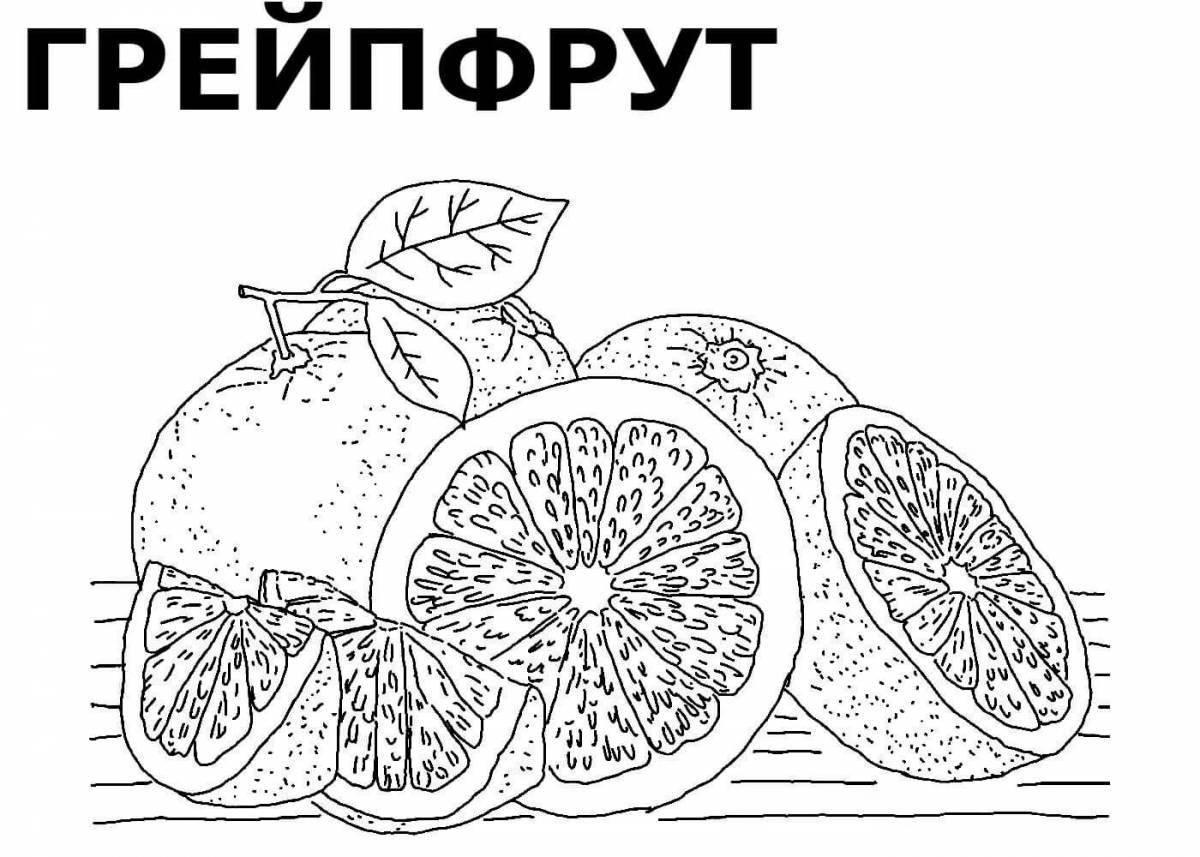 Mysterious grapefruit coloring book