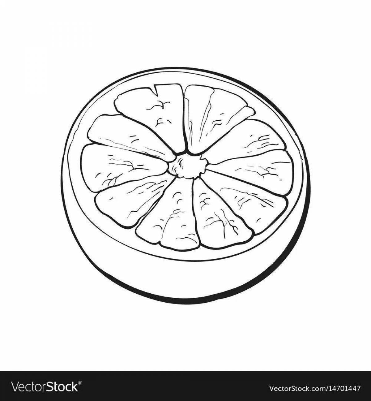 Раскраска мечтательный грейпфрут