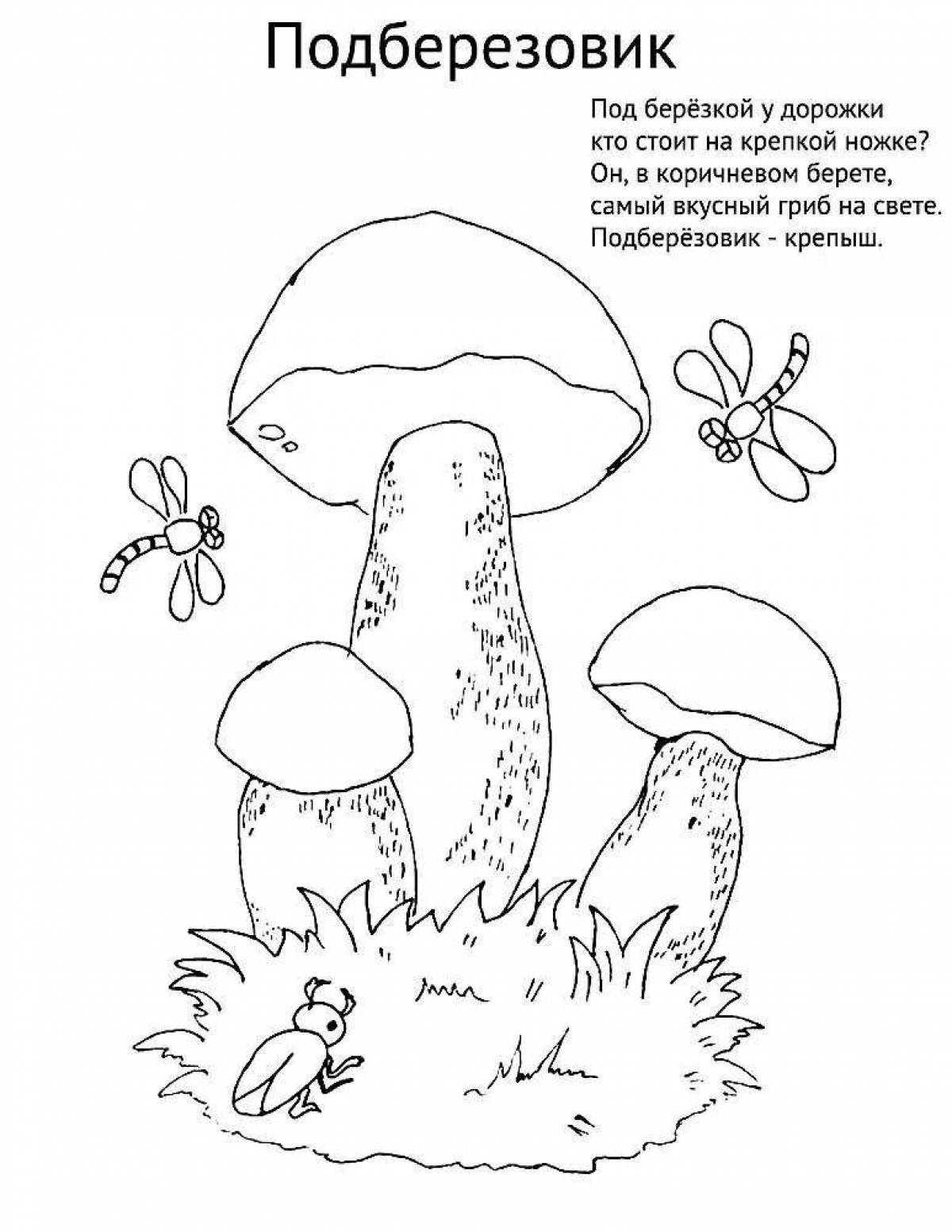Гриб подберезовик раскраска для детей