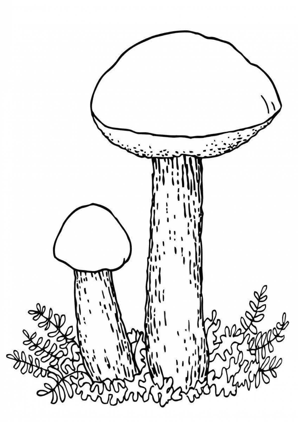 Рисунок гриба подберезовика. Подосиновик белый раскраска. Гриб подосиновик раскраска. Гриб подосиновик раскраска для детей. Подосиновик гриб контур для детей.