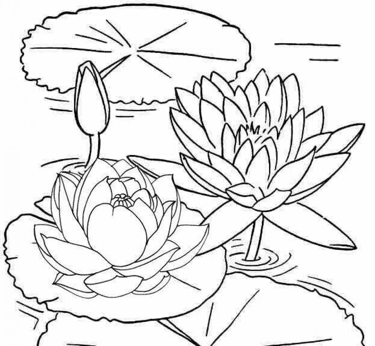 Разуграшка красивый цветок лотоса