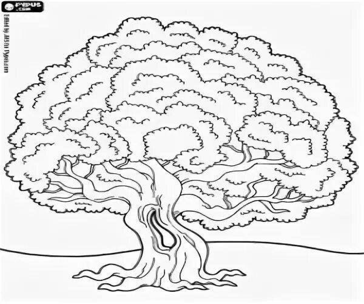 Дуб картинки распечатать. Большой дуб раскраска. Сказочный дуб раскраска. Высокий дуб раскраска. Раскраска могучий дуб.