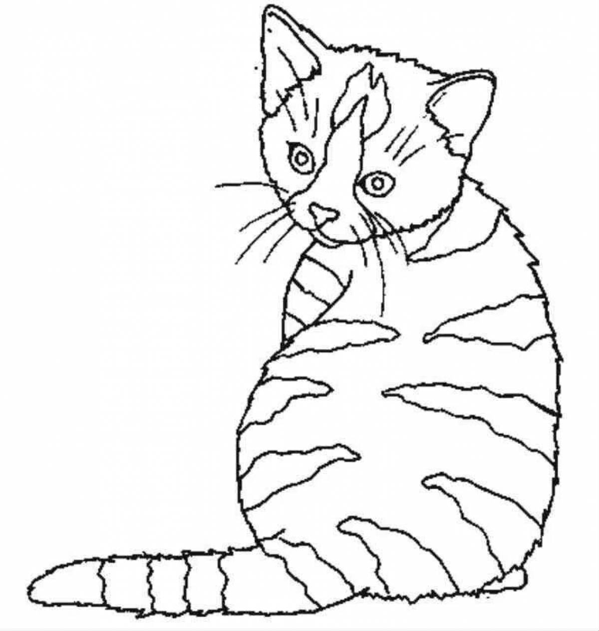 Раскраска кошка полосатая