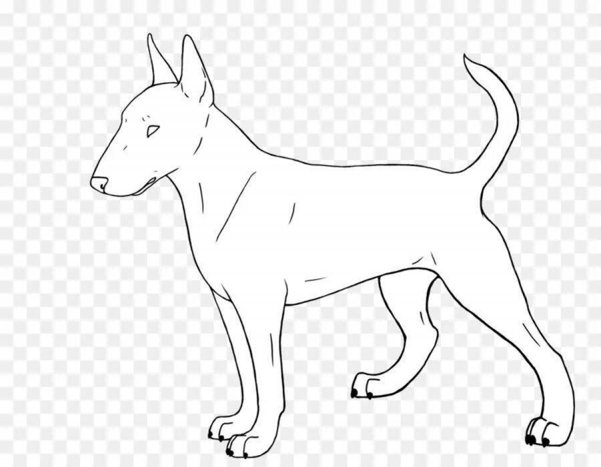 Courageous Bull Terrier coloring book