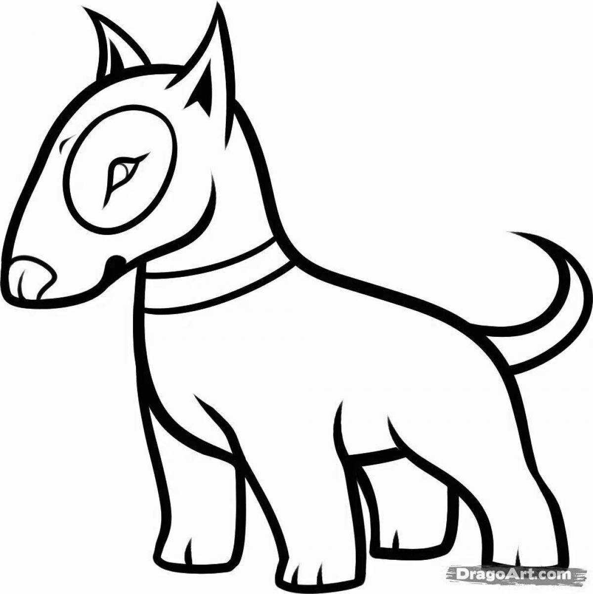 Loyal coloring of the bull terrier