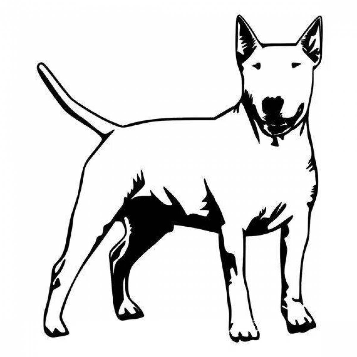 Caution, coloring Bull Terrier