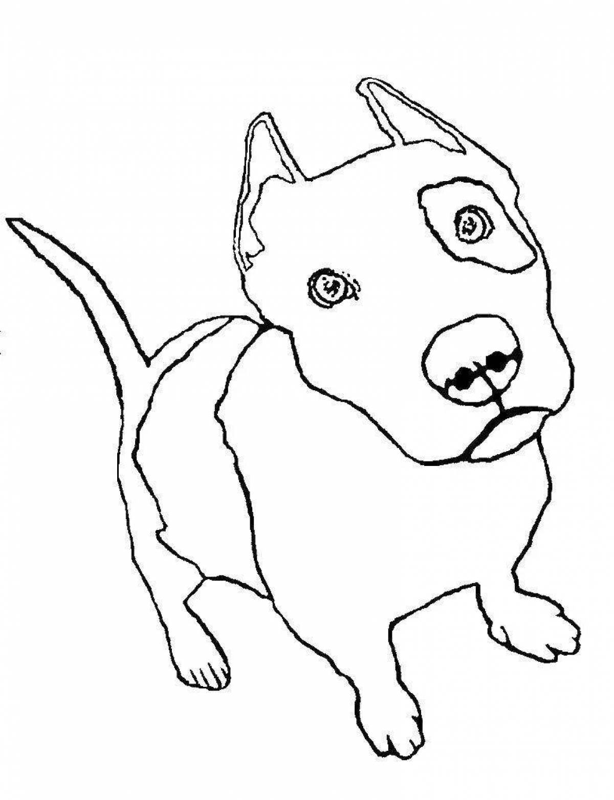 Bull terrier live coloring