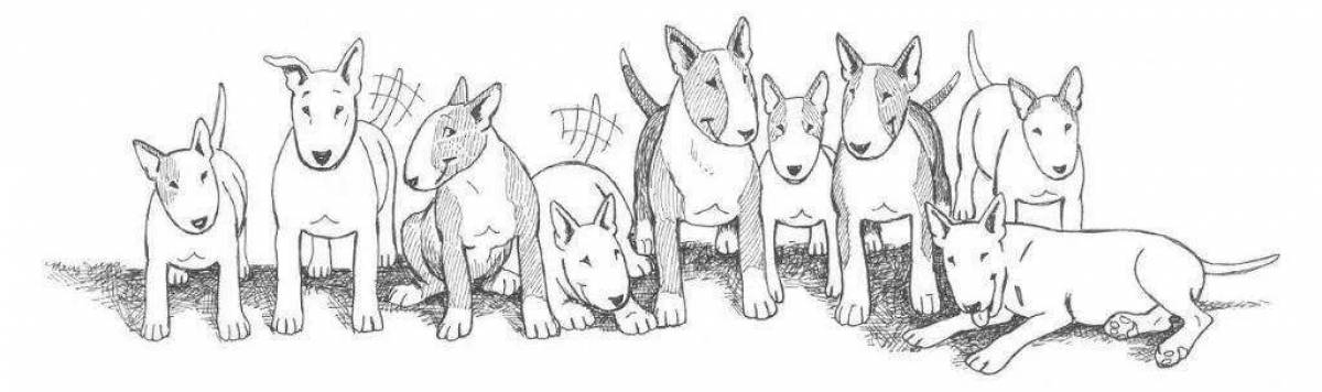 Hardy bull terrier coloring book