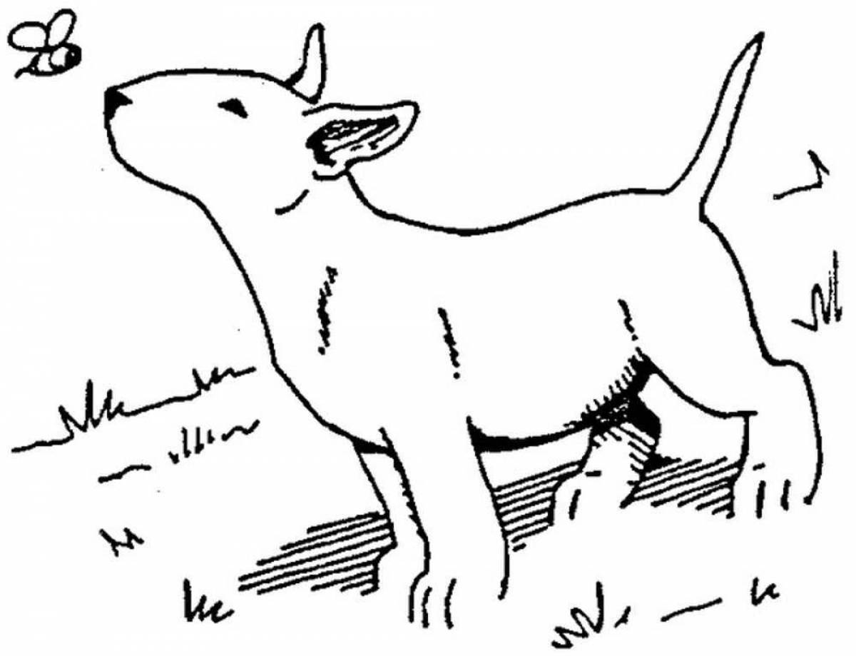 Fearless bull terrier coloring book