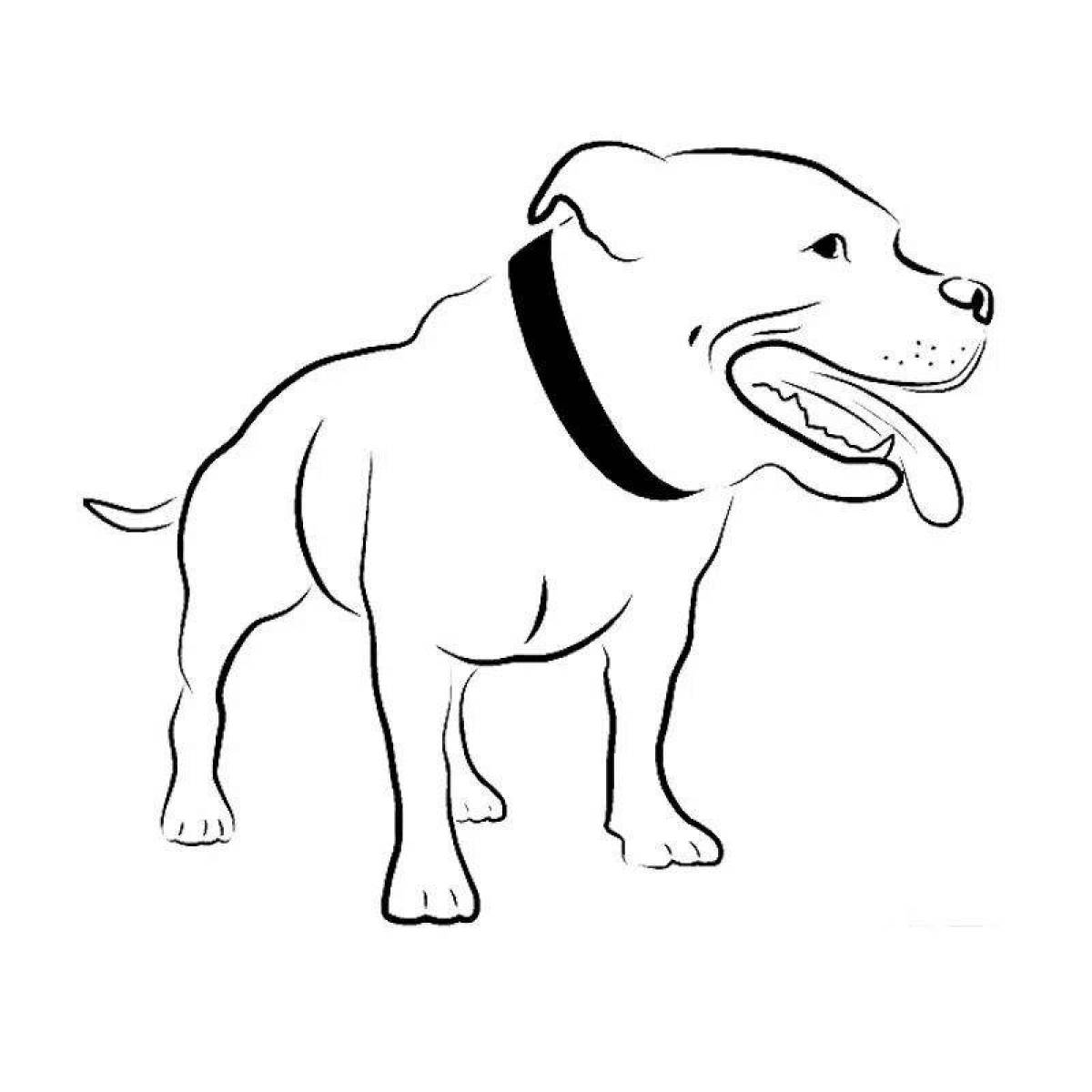 Courtesy Bull Terrier coloring pages