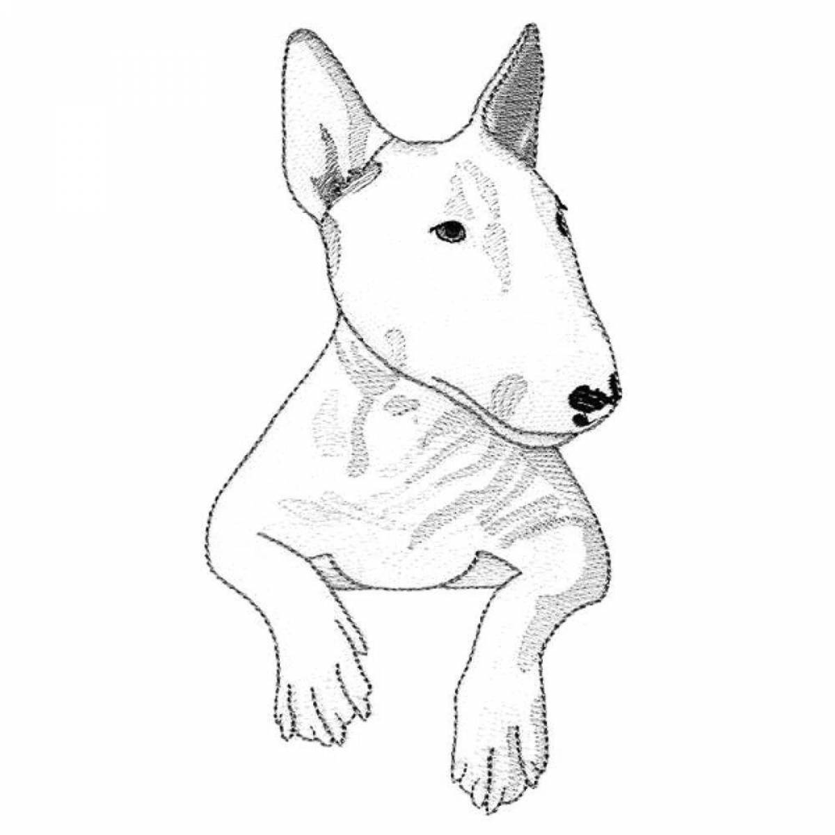 Agile coloring page bull terrier