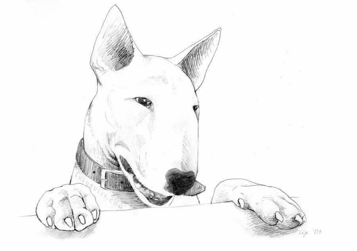 Bull terrier noble coloring page