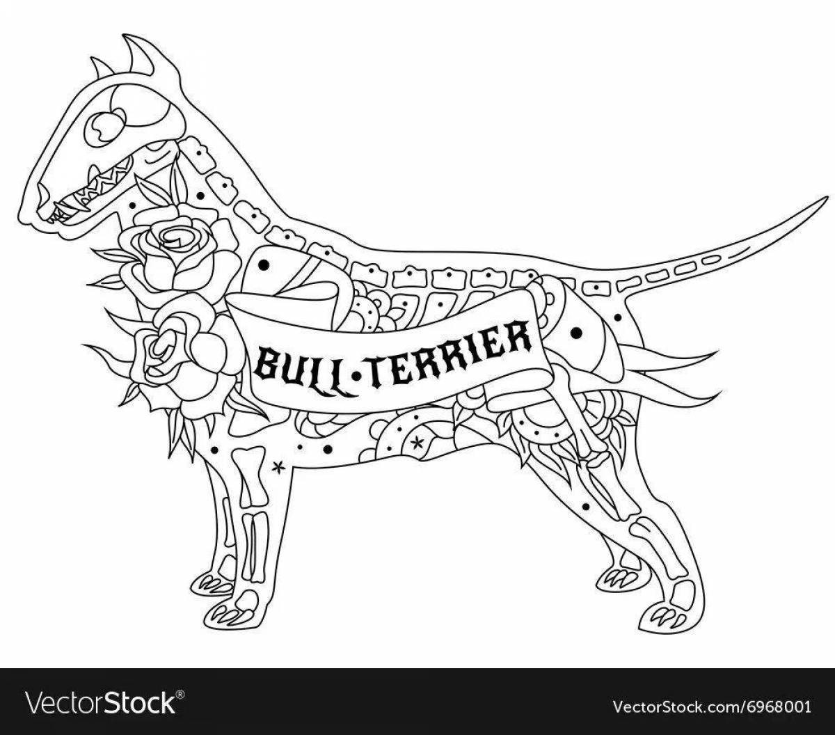 Bull terrier funny coloring book
