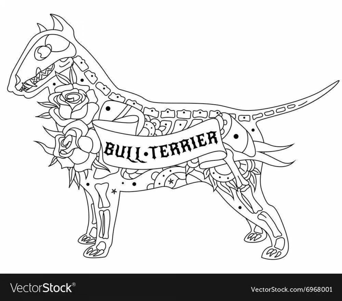 Веселая раскраска бультерьер