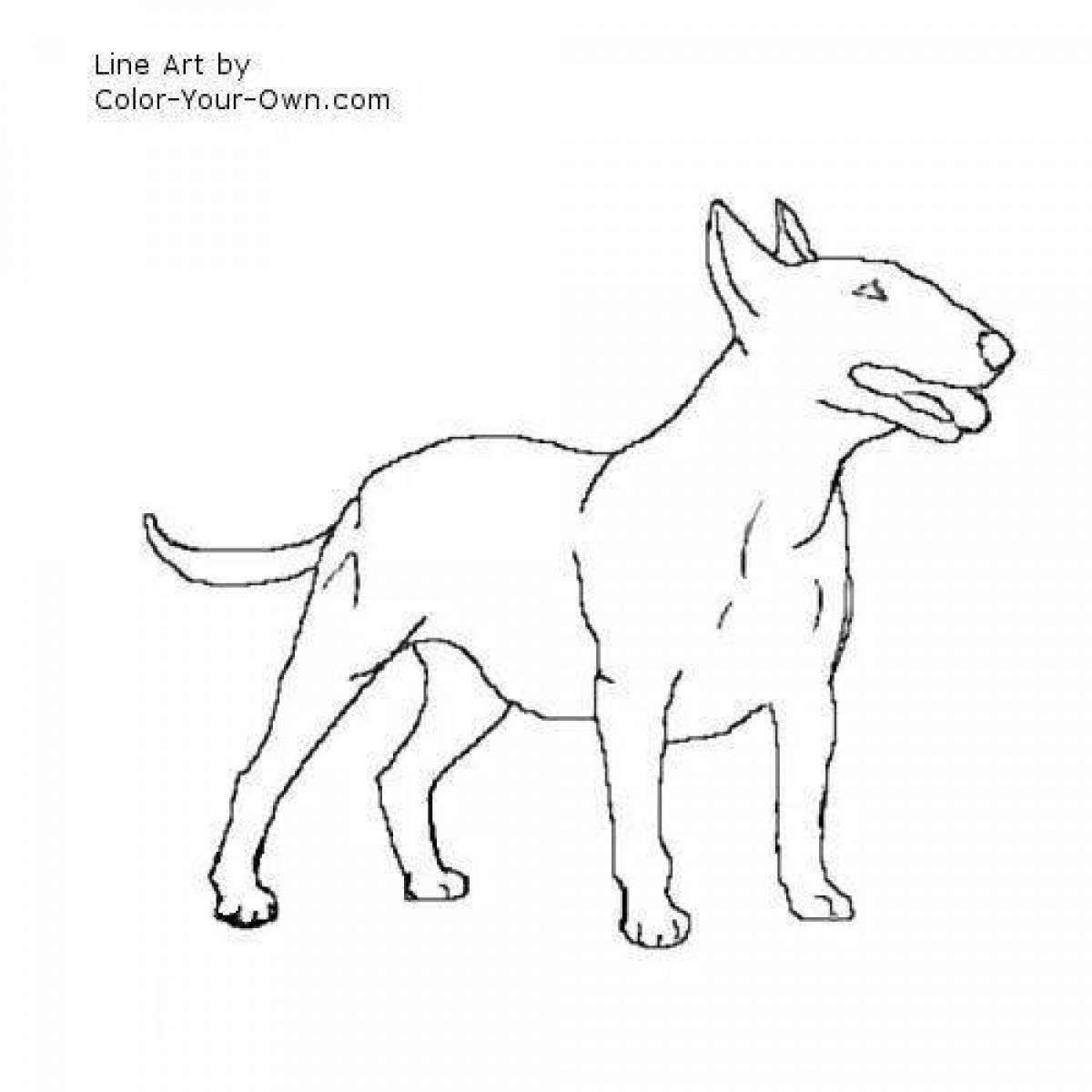 High power bull terrier coloring page