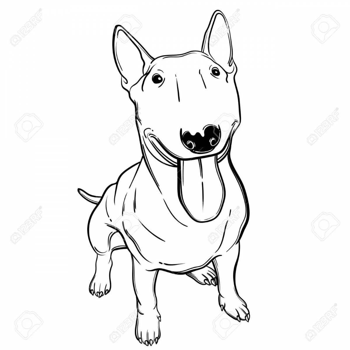 Cheerful Bull Terrier coloring book