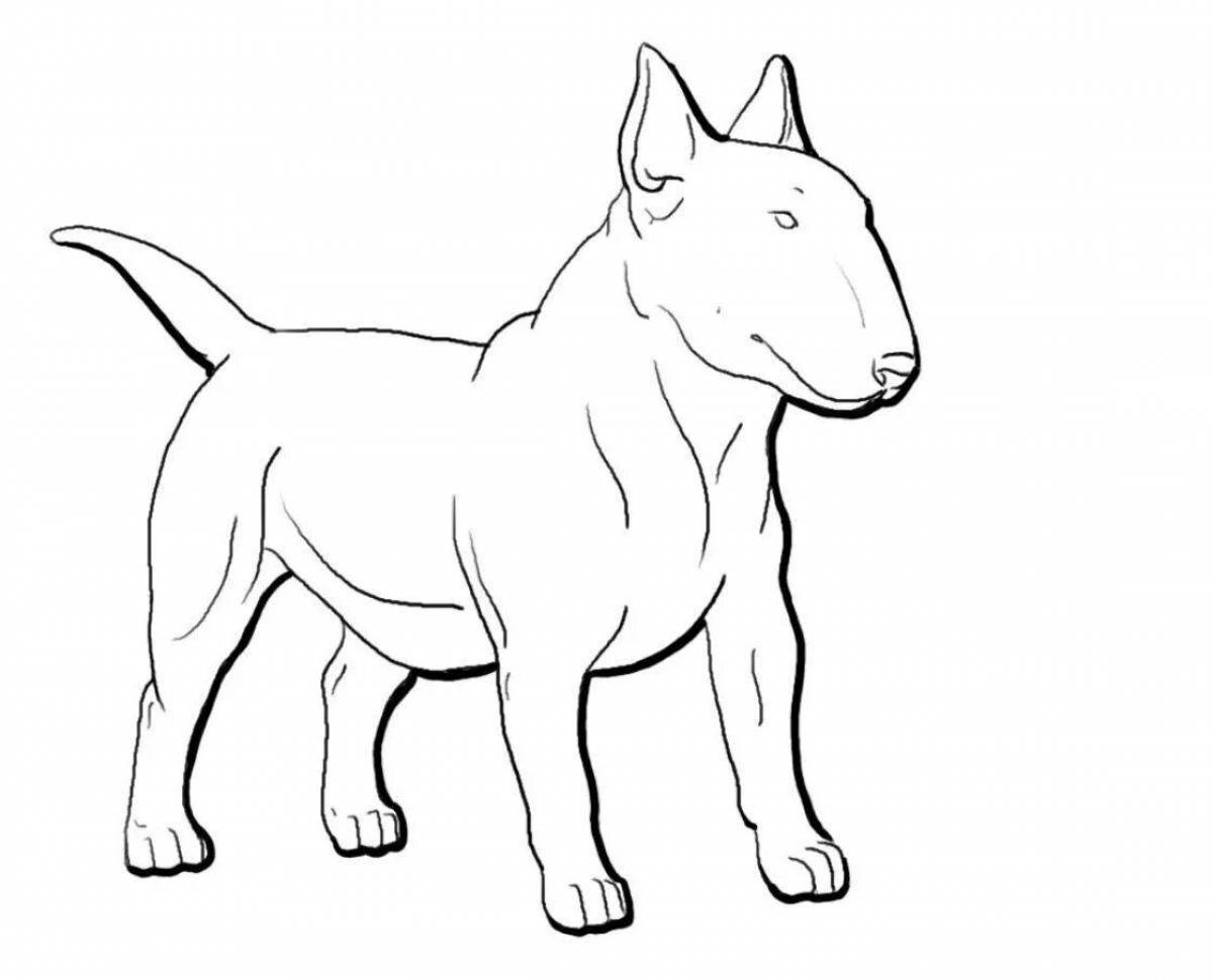 Coloring page bull terrier