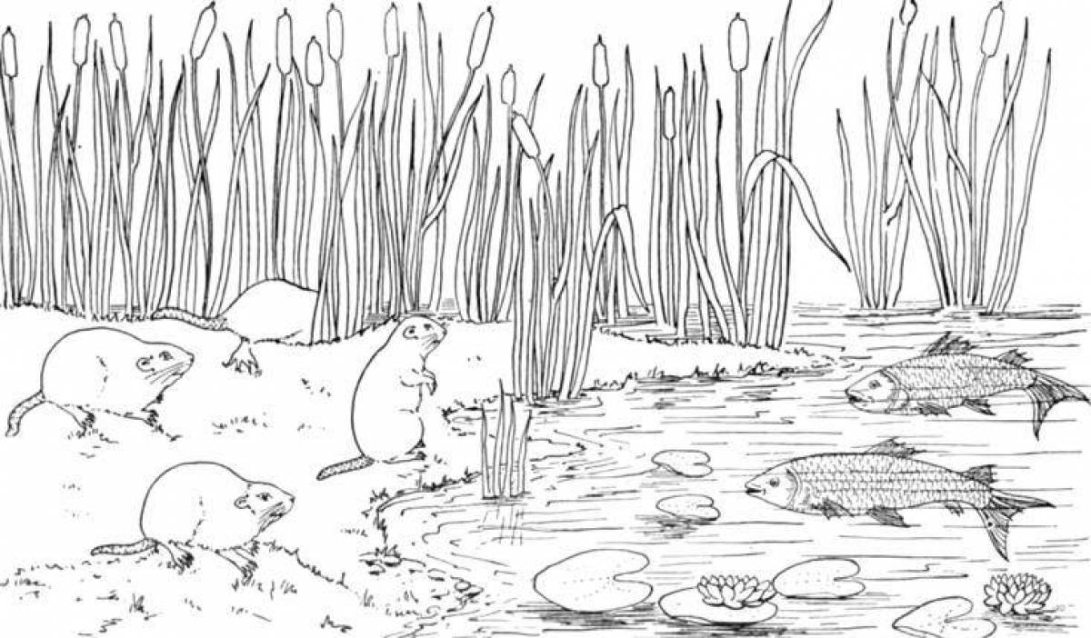 Glowing swamp coloring page